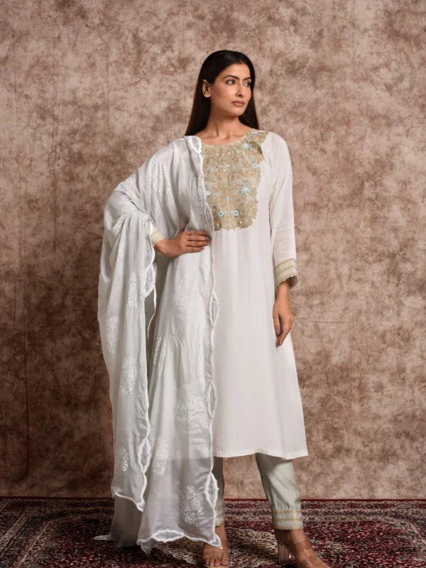 Full-length front view of Verbena mint embroidered suit set with organza dupatta and straight pants by Embrowhite